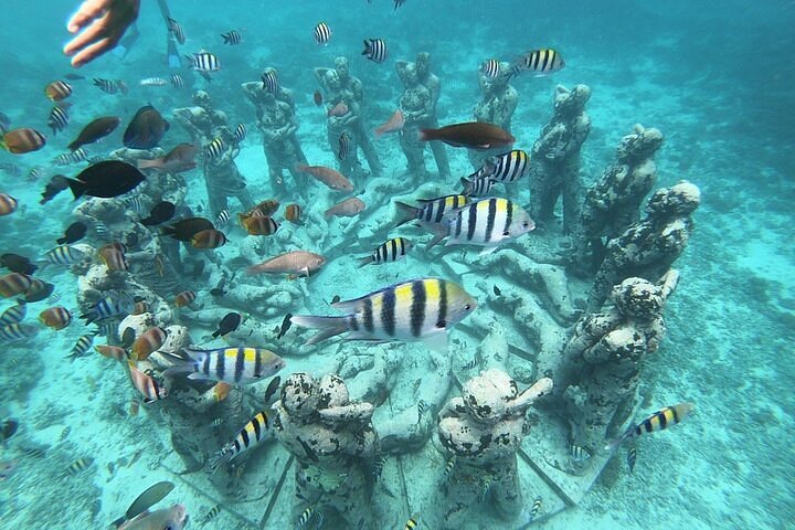 snorkeling gili air, boat ticket to gili air