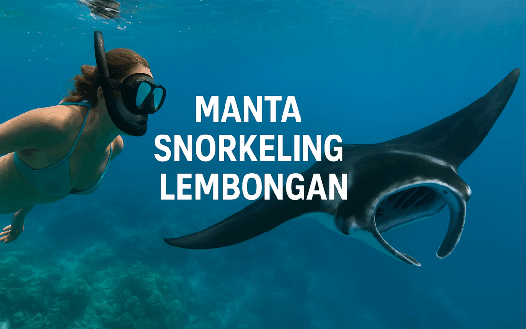 manta snorkeling lembongan