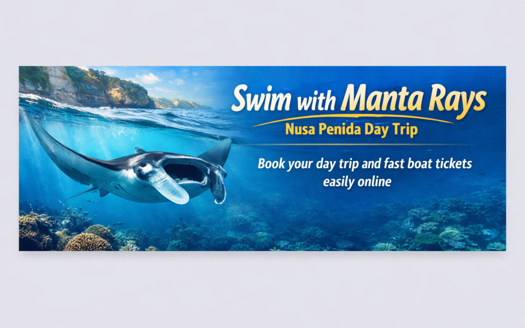 swim with manta ray nusa penida
